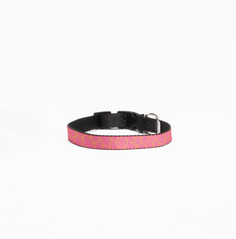 Monstera Leaf Dog Collar