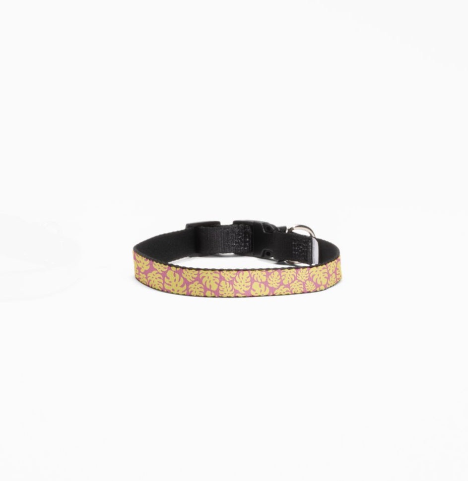 Monstera Leaf Dog Collar