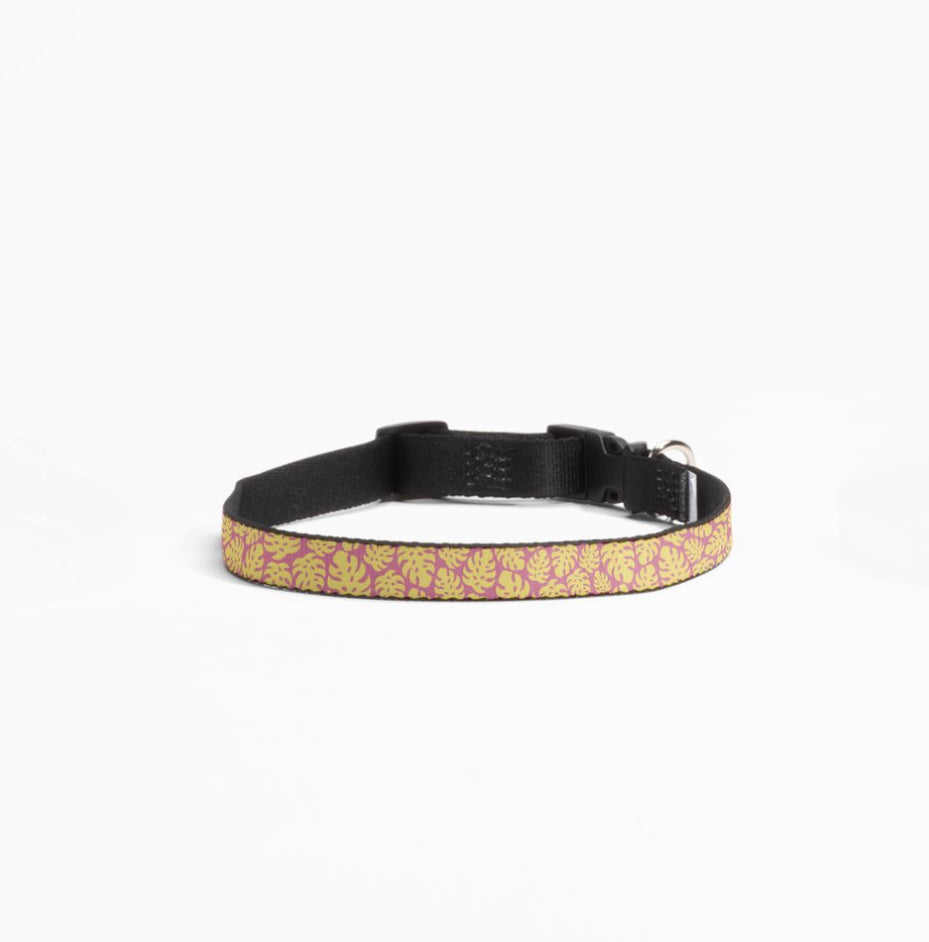 Monstera Leaf Dog Collar