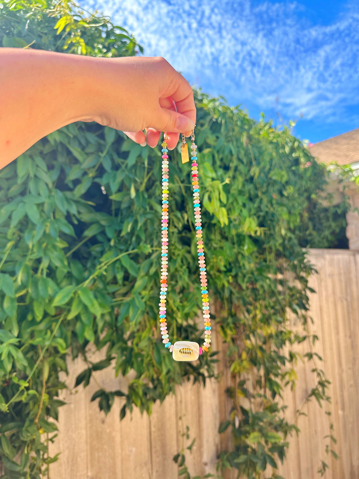 Rainbow Shell Necklace