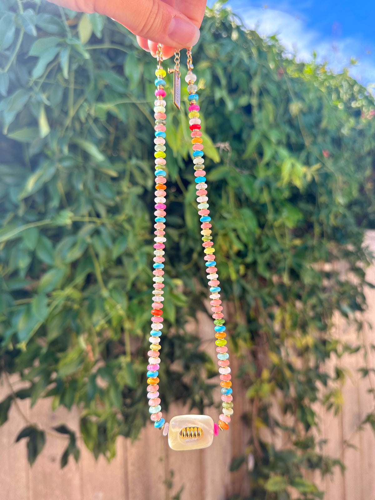Rainbow Shell Necklace