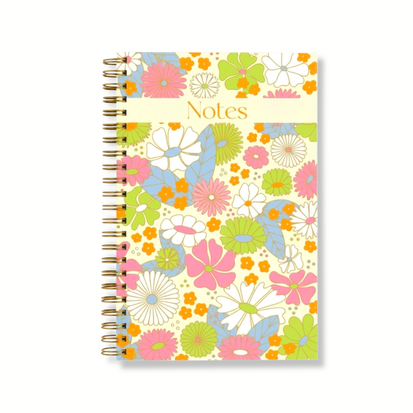 Penny Collection Notebook Bundle